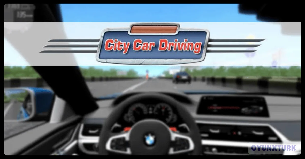 City Car Driving Indir