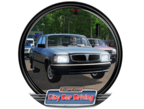 City Car Driving Indir